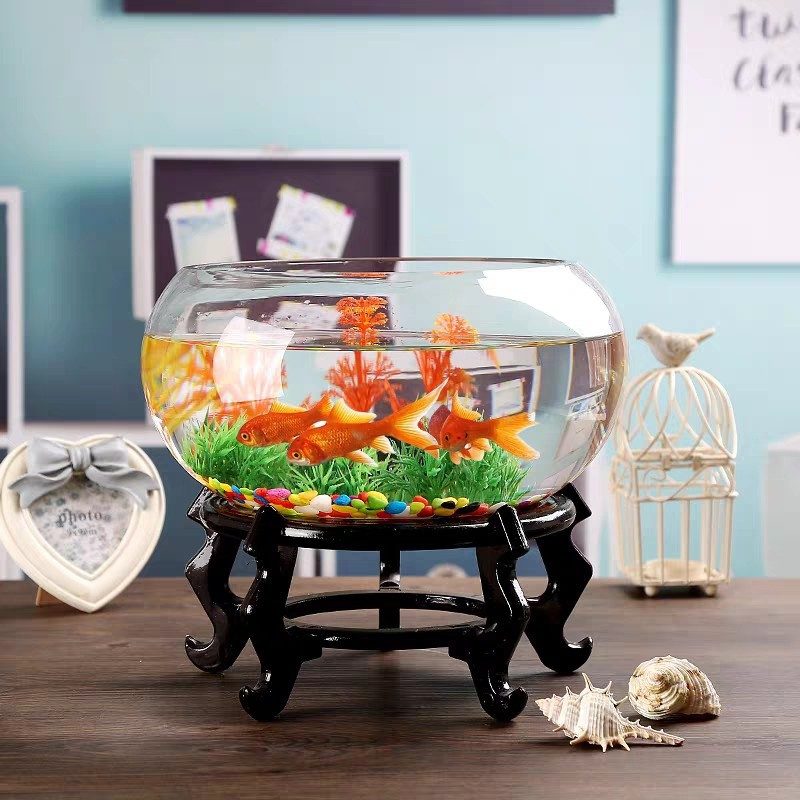 Wholesale Glass Vase HP-003 - Image 4